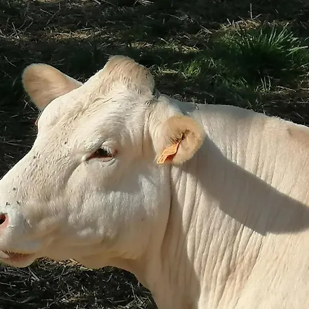 Moulin De La Haye * Marnes