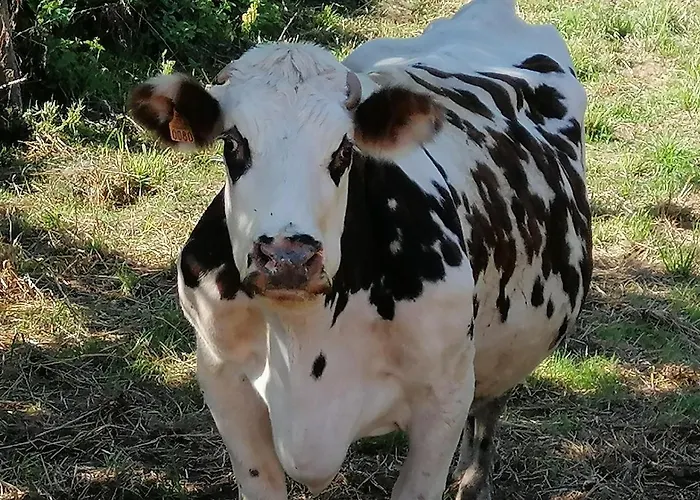 Moulin De La Haye B&B Marnes