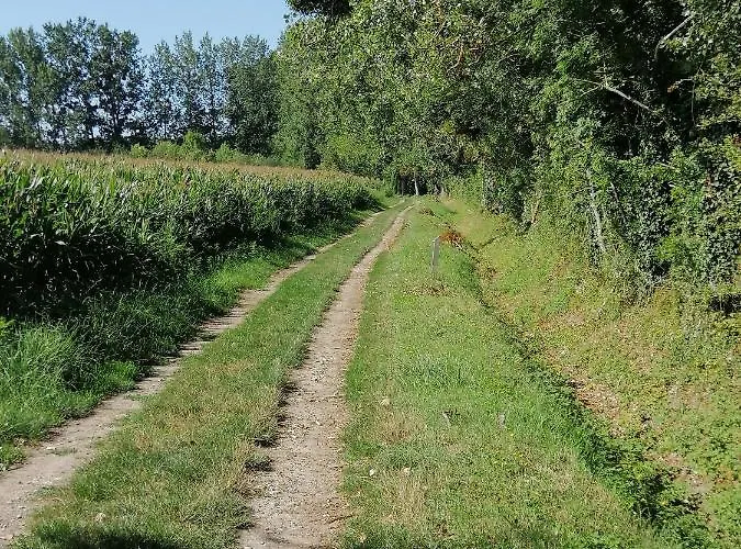Moulin De La Haye B&B